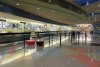 Check-in Desks and Guest Services
