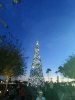 Epcot Tree (2).jpg