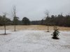 20210111_080317.jpg