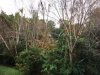 3126 view 2.JPG