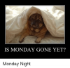BDEE328A-21BD-4659-8F8C-F29C0DFB6918.png