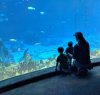 IMG_20180213_124804[1].jpg