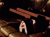0BA7AEFF-8A5B-4783-A399-C18D6F7F231C.gif