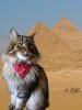 6F6079AD-CA26-45B4-9D68-9AE6FC69CC16.jpeg