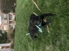 9D528029-1D35-4733-A0AE-EAF8178CE0D2.jpeg