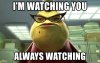 8E878402-84DA-4E2C-9E65-1162457621BB.jpeg
