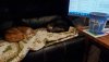 20210125_122304_copy_2016x1134.jpg