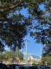 IMG_7264.JPEG