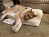 BED41455-AE63-4811-8B6C-0AF963C58087.jpeg