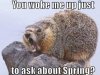 7092BB29-B9CF-4BFC-A7A9-00FEE62CFA4A.jpeg
