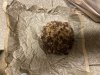 7694D1C6-B7F5-4D1A-87C6-DE902AD5BB85.jpeg