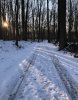 2613F934-82A0-46F1-9519-A1DBF0C4C6AE.jpeg