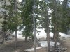 DSC05109.JPG DSC05109.JPG