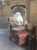 owl.png