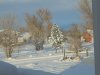 DSC05134.JPG