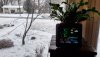 20210209_075716.jpg