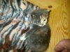 phone pics 216.jpg