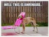 BC51EE0C-9D7E-4B62-8C18-92337D2889A8.jpeg