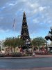 IMG_7320.JPEG