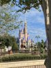 IMG_7324.JPEG
