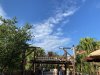 IMG_7325.JPEG