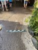 IMG_7327.JPEG