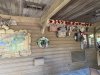 IMG_7329.JPEG