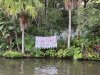 IMG_7335.JPEG