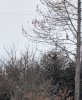 556331