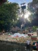 IMG_7339.JPEG