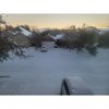 PhotoGrid_Plus_1613398740145.jpg