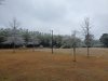 20210215_134835.jpg