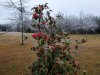 20210215_134847.jpg