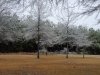 20210215_135941.jpg