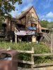 IMG_7360.JPEG