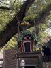 IMG_7362.JPEG