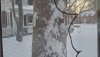 20210216_065838_copy_2016x1134.jpg