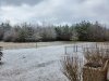 20210216_090637.jpg