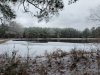 20210216_112218.jpg