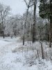02EA1D18-F241-48B0-AEDB-21EC56DC16E3.jpeg