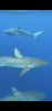 C8E465AB-F712-424B-97F2-82D824CC4D37.png