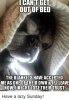 7B4BCCB3-7818-44E5-B371-A9256CF7FFD0.jpeg