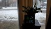 20210222_072935_copy_2016x1134.jpg