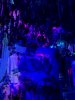 65685AEA-6475-4592-B9D0-B31CB79F80AD.jpeg