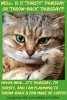 47D81859-62B3-49B9-B0EA-7BC847589B50.jpeg