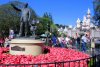 IMG_3481-1.JPG
