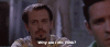 steve pink.gif