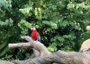7197E3CC-D2CC-4408-AB39-F9E33E587DD0.jpeg