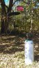 IMAG0995a.jpg
