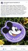 04FBC832-C2E3-4163-A9F6-4BA35751C727.jpeg